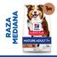 14 kg Hill's Science Plan Mature Adult Medium Cordero pienso para perros, , large indicador imagen numero 2